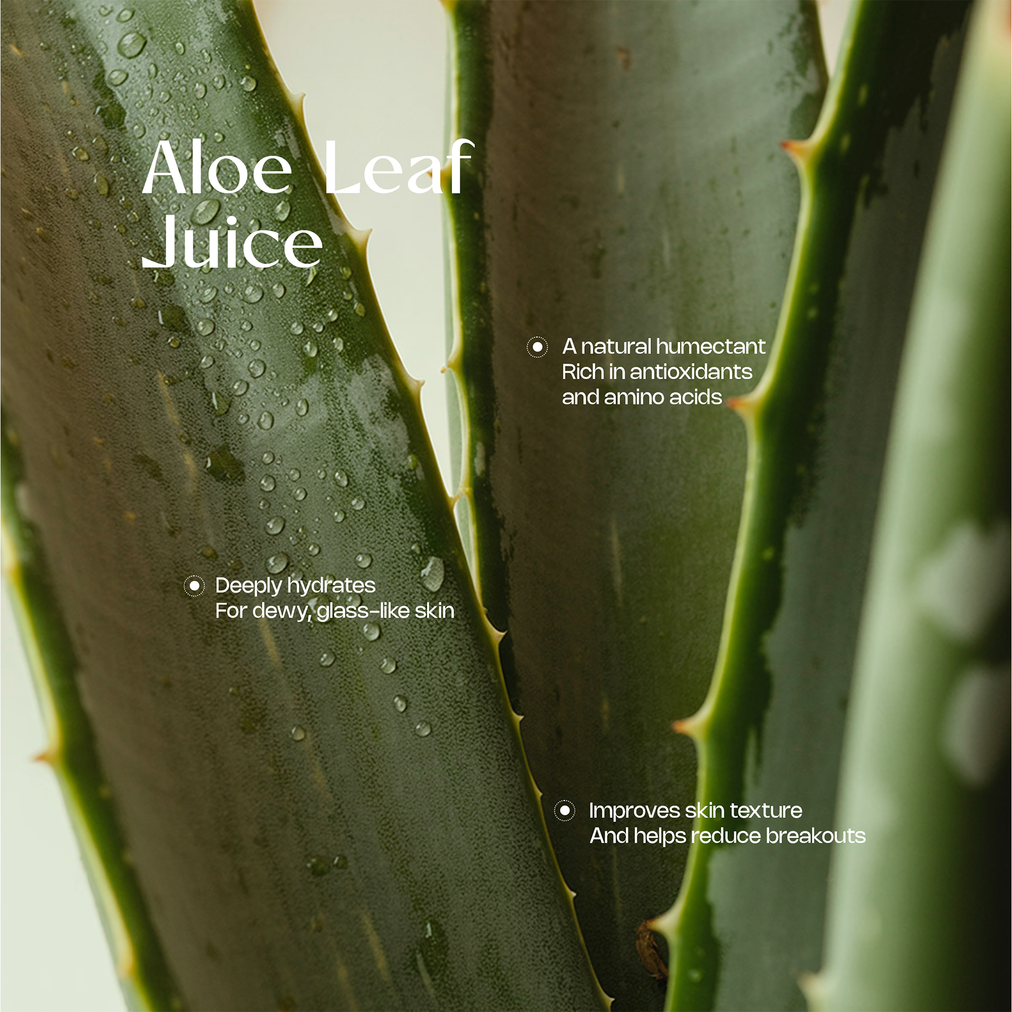 Foaming Oil Cleanser