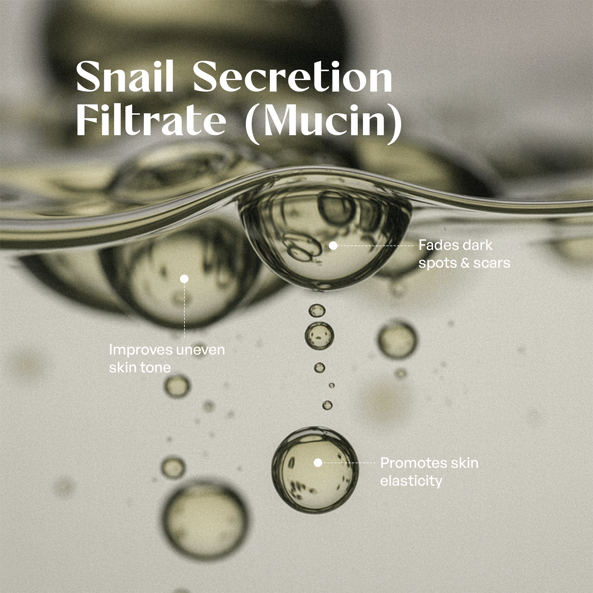 Snail Mucin Essence